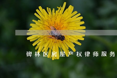 碑林区房屋产权律师服务 碑林区房屋产权律师服务