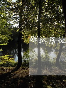 碑林房地产律师 碑林房地产律师