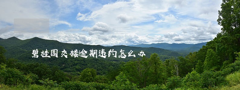碧桂园交楼逾期违约怎么办 碧桂园交楼逾期违约怎么办