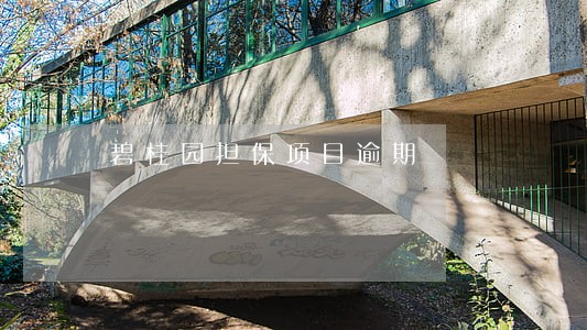 碧桂园担保项目逾期
