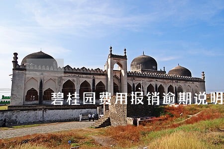 碧桂园费用报销逾期说明 碧桂园费用报销逾期说明