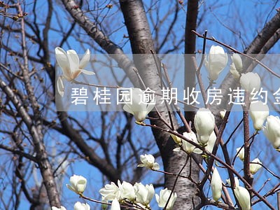 碧桂园逾期收房违约金 碧桂园逾期收房违约金