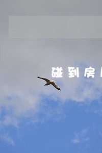 碰到房屋买卖合同诉讼 碰到房屋买卖合同诉讼