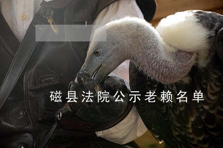 磁县法院公示老赖名单 磁县法院公示老赖名单