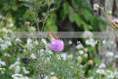 磐安专业债务担保律师价格 磐安专业债务担保律师价格