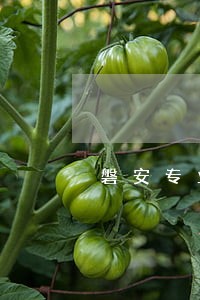 磐安专业刑事律师 磐安专业刑事律师