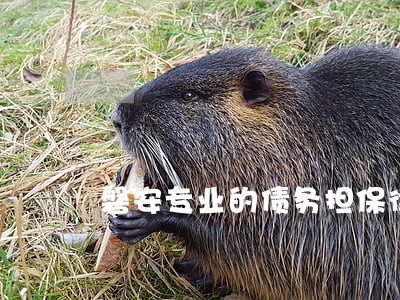磐安专业的债务担保律师费怎么算
