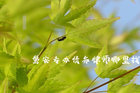 磐安专办债务律师哪里找 磐安专办债务律师哪里找