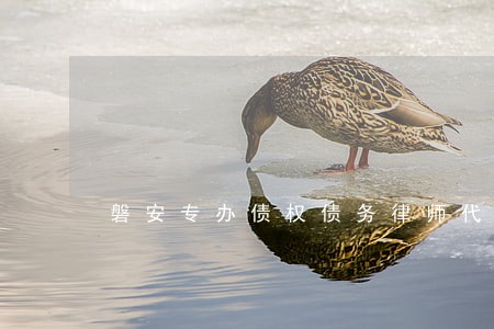 磐安专办债权债务律师代理费 磐安专办债权债务律师代理费