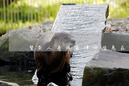 磐安人身损害律师信息在线查询