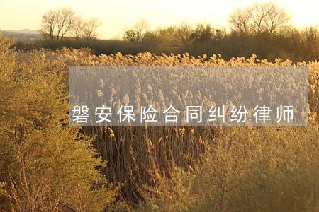 磐安保险合同纠纷律师 磐安保险合同纠纷律师