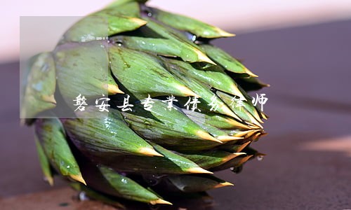 磐安县专业债务律师 磐安县专业债务律师