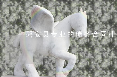 磐安县专业的债务合同律师有哪些 磐安县专业的债务合同律师有哪些