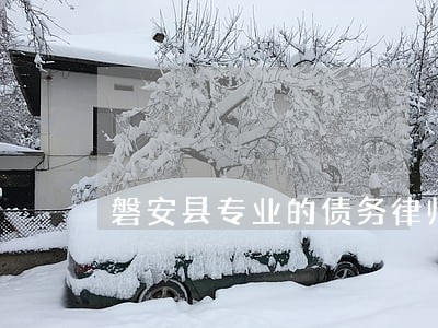 磐安县专业的债务律师多少钱 磐安县专业的债务律师多少钱