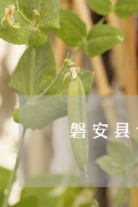磐安县债务律师有哪些 磐安县债务律师有哪些