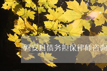 磐安县债务担保律师咨询网站 磐安县债务担保律师咨询网站