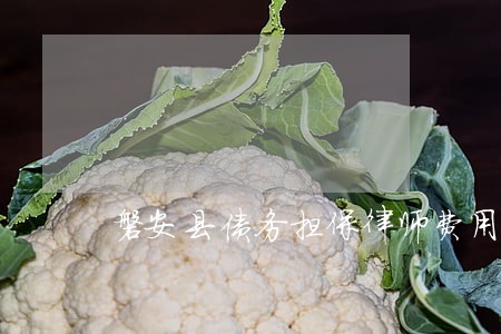 磐安县债务担保律师费用多少 磐安县债务担保律师费用多少