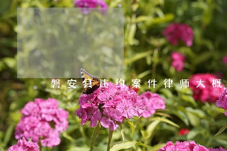 磐安县违约案件律师大概多少钱
