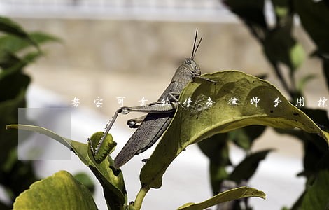 磐安可靠的债务律师费用标准 磐安可靠的债务律师费用标准