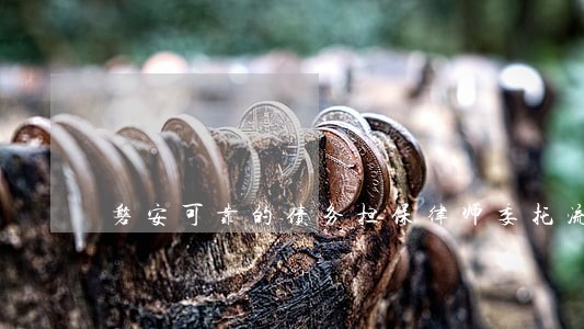 磐安可靠的债务担保律师委托流程 磐安可靠的债务担保律师委托流程