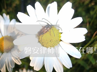 磐安律师事务所在哪里
