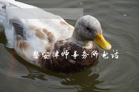 磐安律师事务所电话