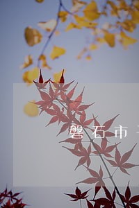磐石市干法制砂系统高效节能 磐石市干法制砂系统高效节能