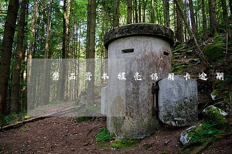 磐石资本程亮信用卡逾期 磐石资本程亮信用卡逾期