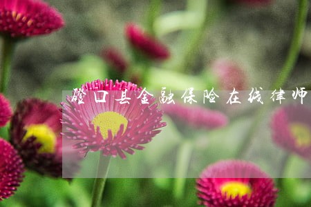 磴口县金融保险在线律师 磴口县金融保险在线律师