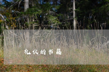 礼仪的书籍 礼仪的书籍