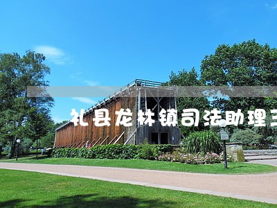 礼县龙林镇司法助理王波 礼县龙林镇司法助理王波