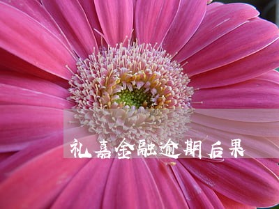 礼嘉金融逾期后果 礼嘉金融逾期后果