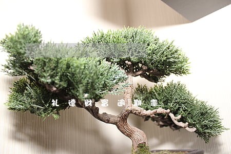礼德财富逾期率 礼德财富逾期率