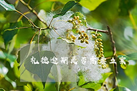礼德逾期是否需要立案 礼德逾期是否需要立案