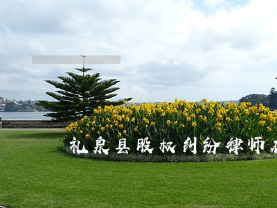 礼泉县股权纠纷律师在线免费咨询 礼泉县股权纠纷律师在线免费咨询