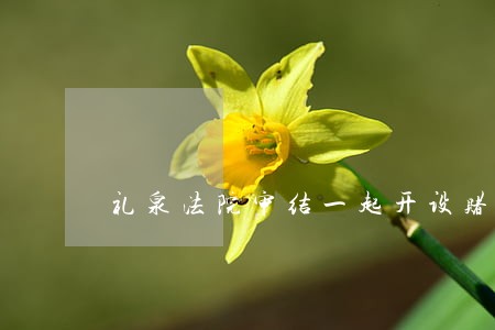 礼泉法院审结一起开设赌场案件 礼泉法院审结一起开设赌场案件