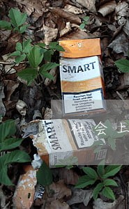 社会上有几种律师 社会上有几种律师