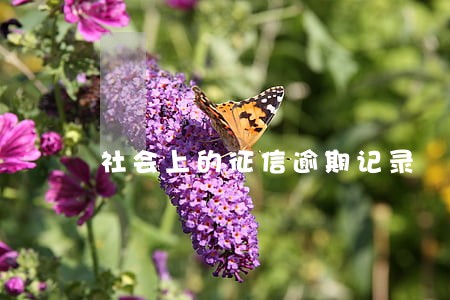 社会上的征信逾期记录 社会上的征信逾期记录