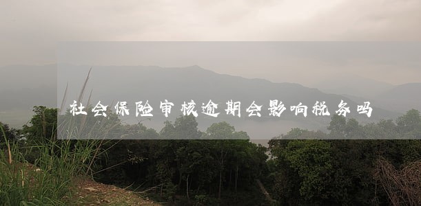 社会保险审核逾期会影响税务吗 社会保险审核逾期会影响税务吗