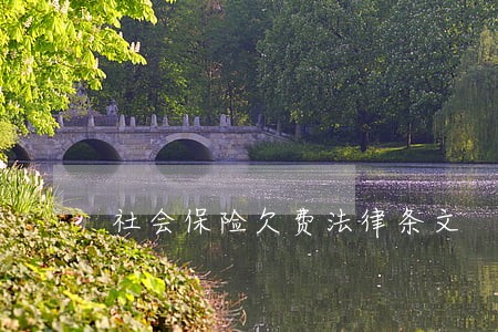 社会保险欠费法律条文 社会保险欠费法律条文