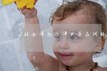 社会保险法律关系名词解释题
