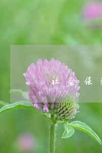 社会保险法逾期不缴的可以 社会保险法逾期不缴的可以