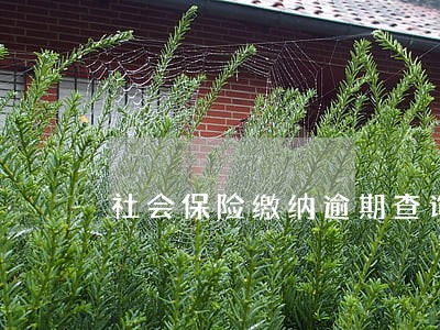 社会保险缴纳逾期查询是 社会保险缴纳逾期查询是