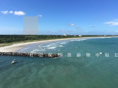 社会保险费逾期申报怎么办 社会保险费逾期申报怎么办