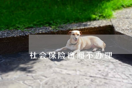 社会保险逾期不办理 社会保险逾期不办理