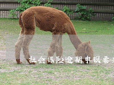 社会保险逾期申报要交滞纳金吗 社会保险逾期申报要交滞纳金吗