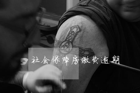 社会保障房缴费逾期 社会保障房缴费逾期