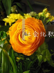 社会化职称评审的条件 社会化职称评审的条件