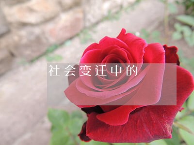 社会变迁中的 社会变迁中的