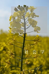 社会学类能考司法资格吗